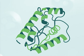 重组蛋白定制服务