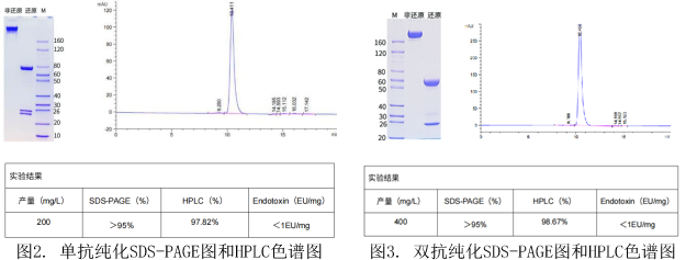 1748485796144057.png 图片5.png
