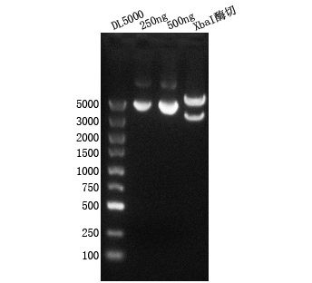 1748505323859265.png 图片2.png