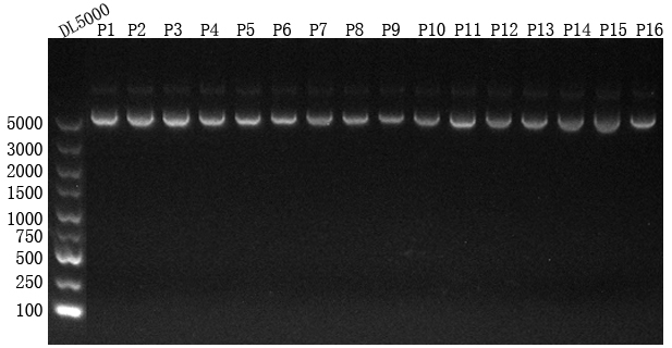 1748505367143580.png 图片1.png