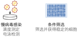 1748511919836111.png 22.png