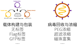 1748511925391895.png 33.png