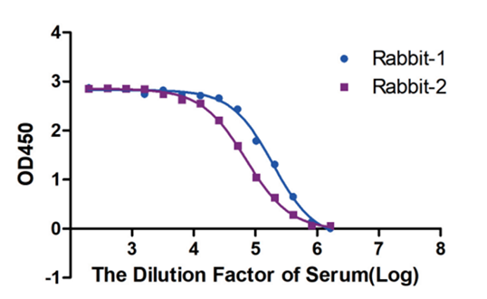 1749431892182564.png 图片1.png