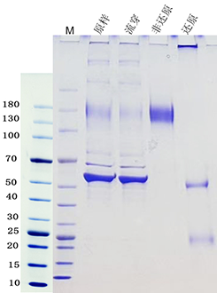 1749431897125982.png 图片2.png