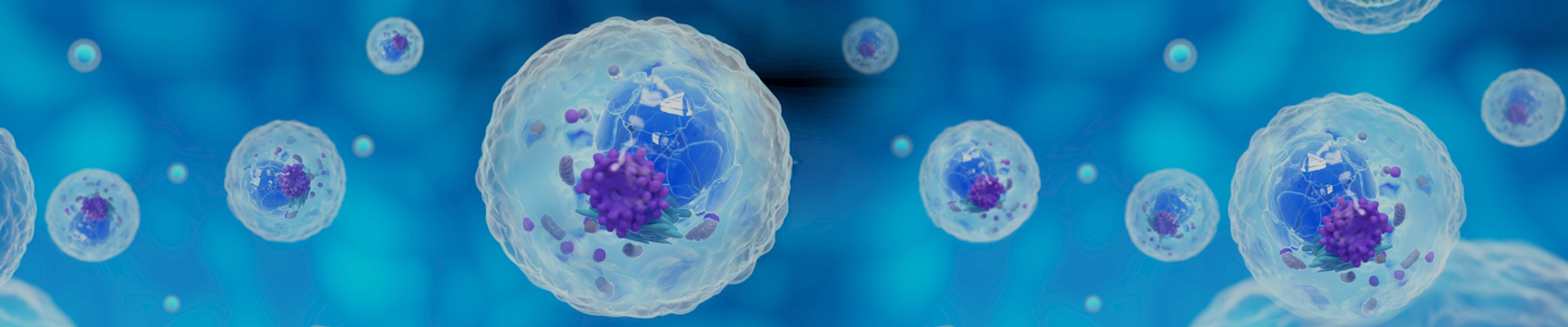 稳转细胞株服务